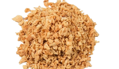 Proteína Vegetal de Soya Fina (Carne Soya)