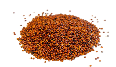 Quinoa Roja