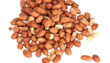 Maní Tostado con Cutícula